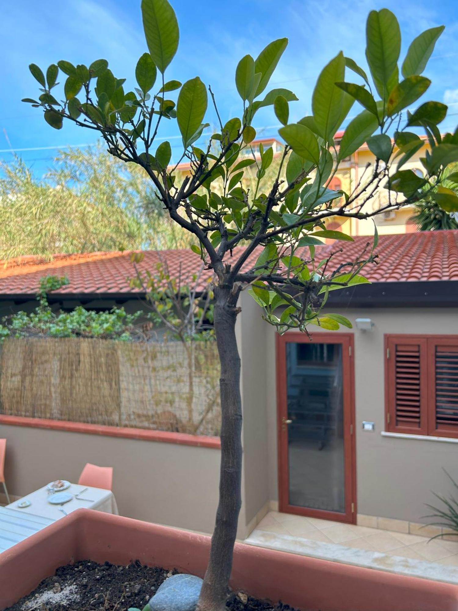 지아르디니낙소스 La Piazzetta B&B 외부 사진